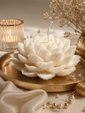 Flor de Loto